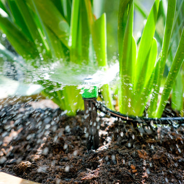 Drip irrigation systems